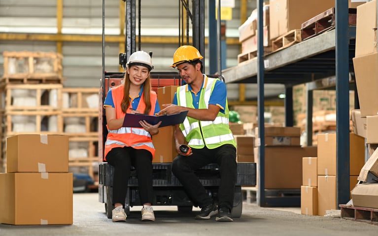 Advantages and disadvantages of a 3PL